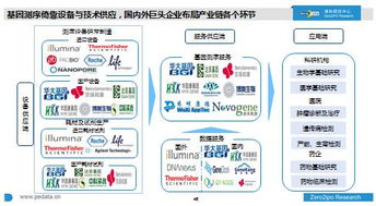 中國醫療健康領域投資分析報告