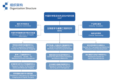中國科學院深圳先進技術研究院2021年生物醫學與健康工程研究所夏令營