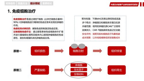 華夏幸福產業研究院 中國生命健康新動能研究報告