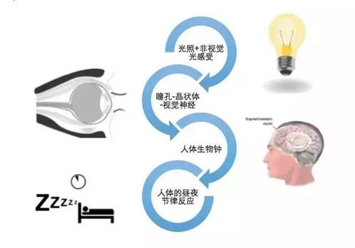 照明行業,什么是照明行業 照明行業的最新報道