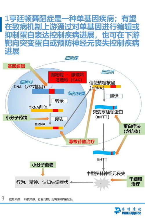 獨家 基因編輯和寡核苷酸能否逆轉亨廷頓舞蹈癥研發進程