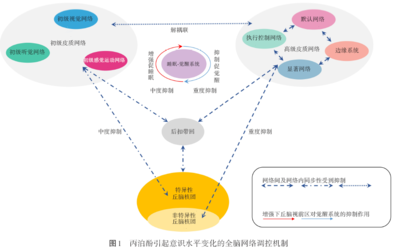 丙泊酚對(duì)大腦功能網(wǎng)絡(luò)調(diào)節(jié)機(jī)制的研究進(jìn)展