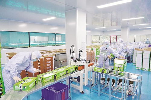 張國旺王進(jìn)足調(diào)研食品產(chǎn)業(yè)發(fā)展