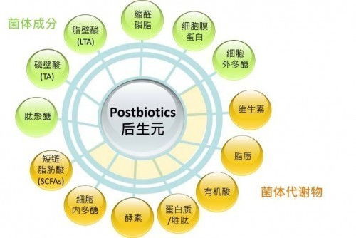 后生元帶來行業(yè)新機(jī)遇,看燕教授如何開啟口腔健康新紀(jì)元