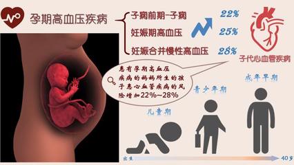 復(fù)旦大學(xué)余勇夫、秦國友課題組在孕期高血壓疾病和子代心血管健康領(lǐng)域取得進(jìn)展