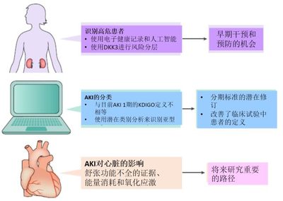 2019 年急性腎損傷領域研究進展