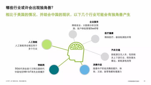 2017中美獨角獸研究分析報告 