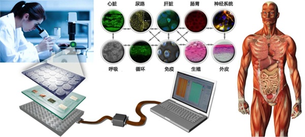 健康狀況信息化 生物芯片忙擴張-
