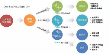 三文魚,再生醫學界炙手可熱的超級網紅