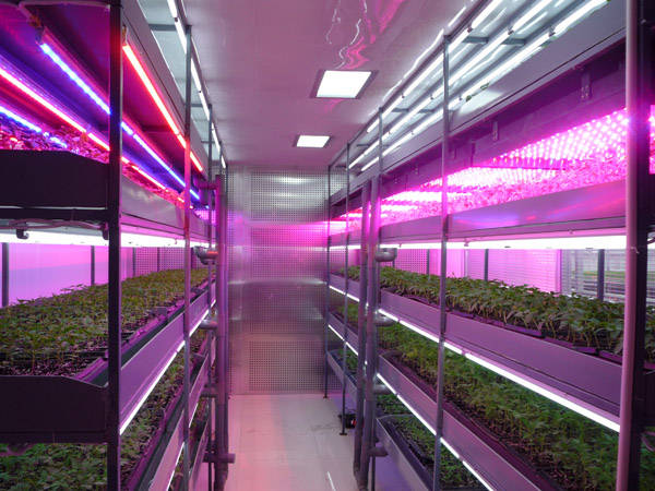 日本能否把植物工廠做成“出口產業”?