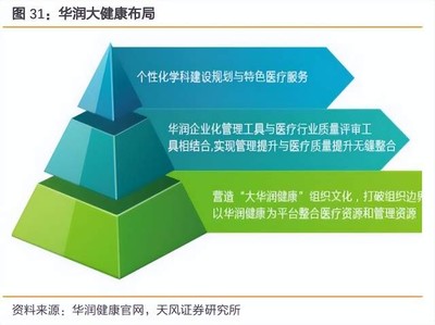 迪瑞醫療研究報告:體外診斷多業務持續突破,市場前景廣闊
