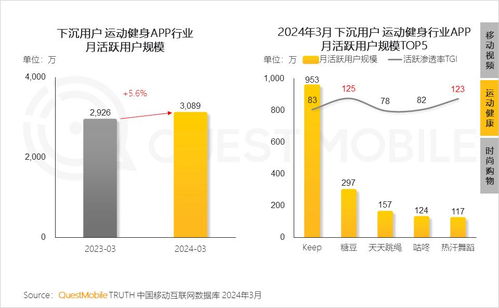 questmobile2024下沉市場洞察報告 下沉用戶規模同比提升1.7 達6.47億,短視頻 健康 購物等領域,消費潛力巨大