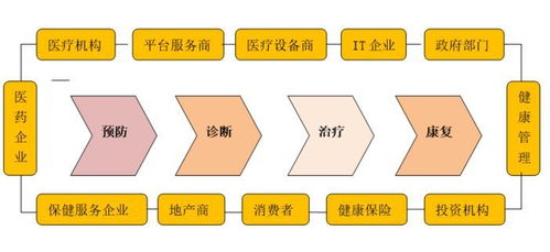 中國大健康產(chǎn)業(yè)系列研究 產(chǎn)業(yè)評估要點研究