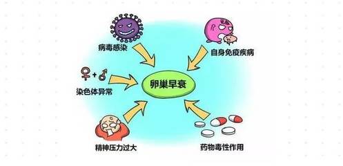 #斯德姆#干細胞調理卵巢早衰:讓您擁有更多的健康卵子
