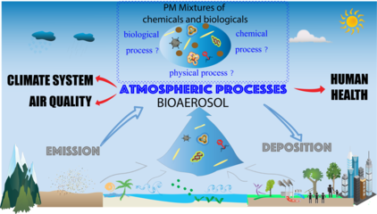 國家科學進展綜述:生物氣溶膠融匯空氣質量、氣候系統和人類健康