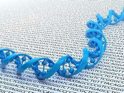Google Genomics:25美元/年把基因放在云端