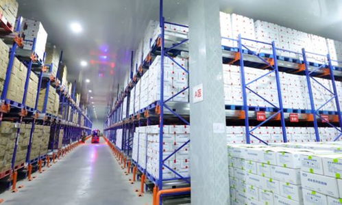 妙飛創始人陳運堅守產品匠心之道,讓品質看得見