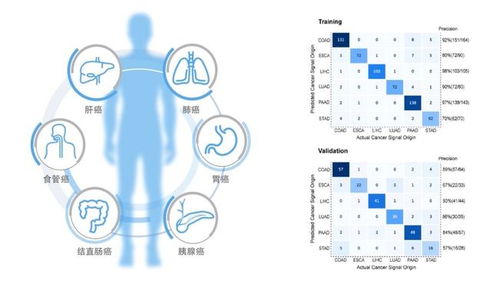 造福 守護中國百姓健康,和瑞基因實現多癌種早篩